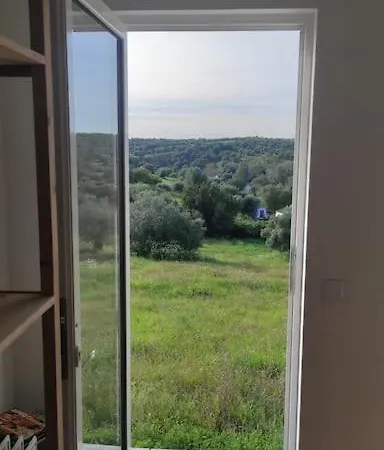 Nova Quinta Moderna Torramo Em Oliveiras, Campo De Laranjas, Na Nacional 2, Alentejo 13750 M2 Villa Torrao  Exterior photo
