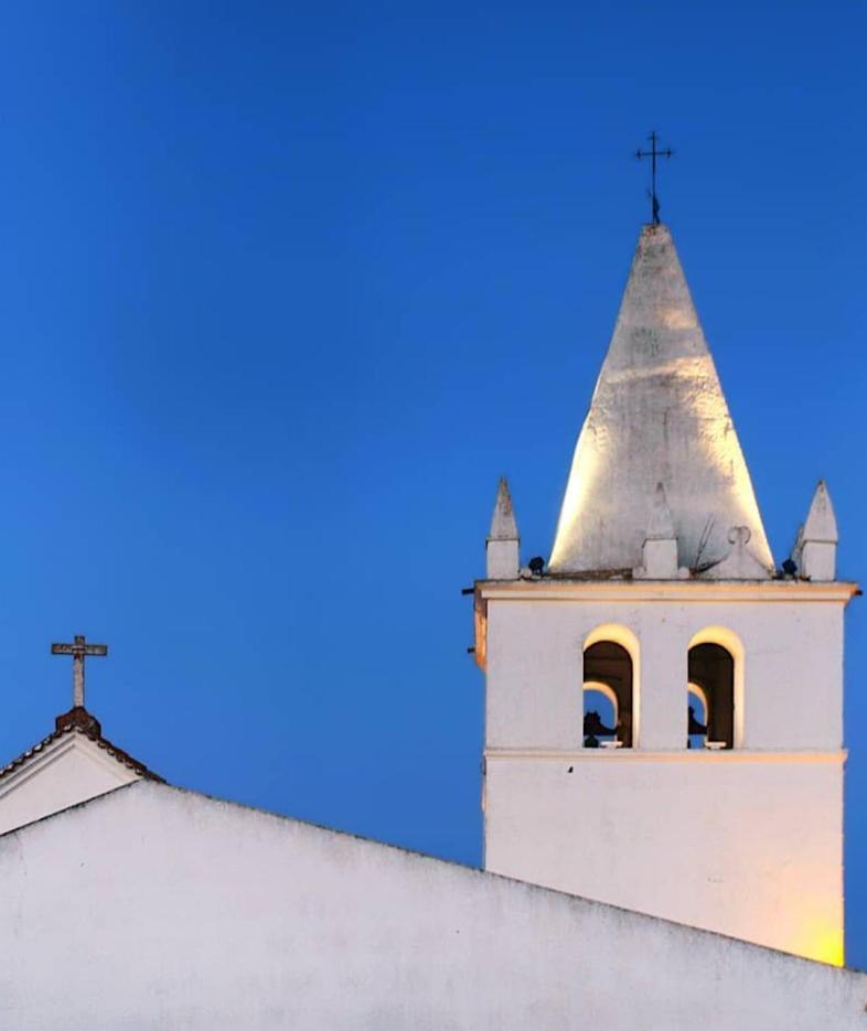 Nova Quinta Moderna Torramo Em Oliveiras, Campo De Laranjas, Na Nacional 2, Alentejo 13750 M2 * Torrao (Setubal)