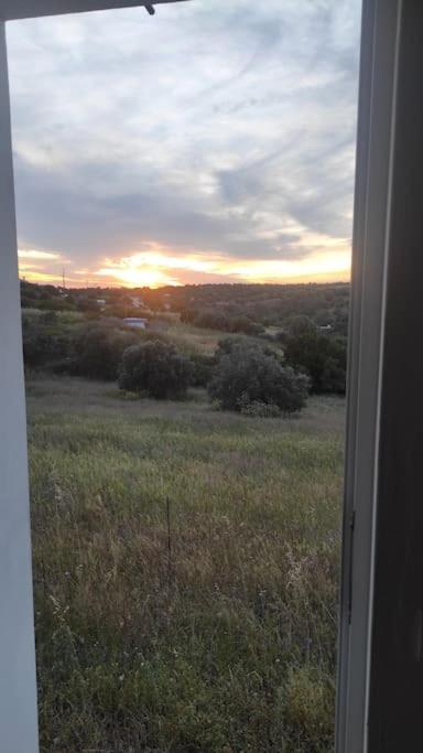 Villa Nova Quinta Moderna Torramo Em Oliveiras, Campo De Laranjas, Na Nacional 2, Alentejo 13750 M2 Torrao (Setubal)