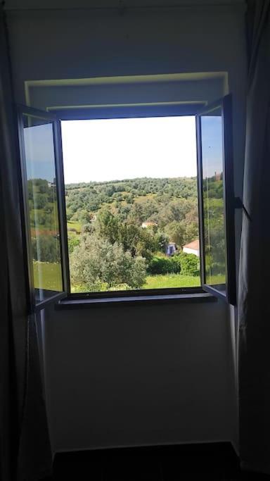 Nova Quinta Moderna Torramo Em Oliveiras, Campo De Laranjas, Na Nacional 2, Alentejo 13750 M2 Villa Torrao (Setubal)