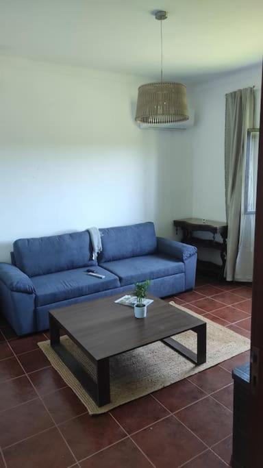 Nova Quinta Moderna Torramo Em Oliveiras, Campo De Laranjas, Na Nacional 2, Alentejo 13750 M2 Torrao (Setubal)