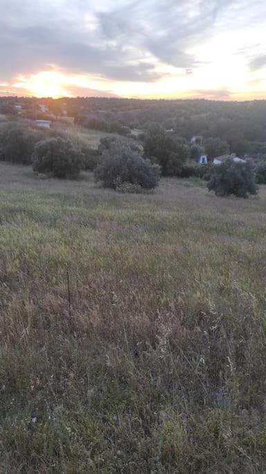 Villa Nova Quinta Moderna Torramo Em Oliveiras, Campo De Laranjas, Na Nacional 2, Alentejo 13750 M2 *