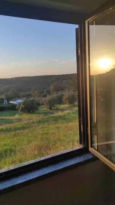 Nova Quinta Moderna Torramo Em Oliveiras, Campo De Laranjas, Na Nacional 2, Alentejo 13750 M2 * Torrao (Setubal)
