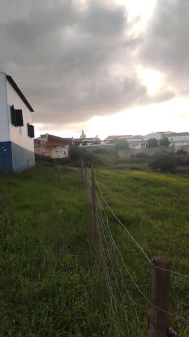 Nova Quinta Moderna Torramo Em Oliveiras, Campo De Laranjas, Na Nacional 2, Alentejo 13750 M2 *