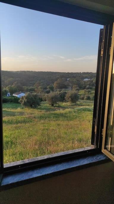 Nova Quinta Moderna Torramo Em Oliveiras, Campo De Laranjas, Na Nacional 2, Alentejo 13750 M2 Villa *