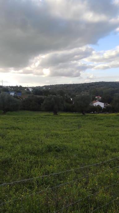 Villa Nova Quinta Moderna Torramo Em Oliveiras, Campo De Laranjas, Na Nacional 2, Alentejo 13750 M2 *