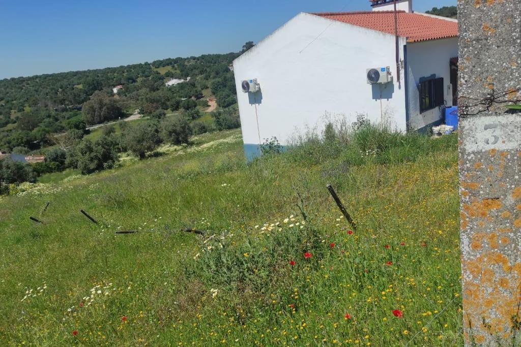Villa Nova Quinta Moderna Torramo Em Oliveiras, Campo De Laranjas, Na Nacional 2, Alentejo 13750 M2 Torrao (Setubal)
