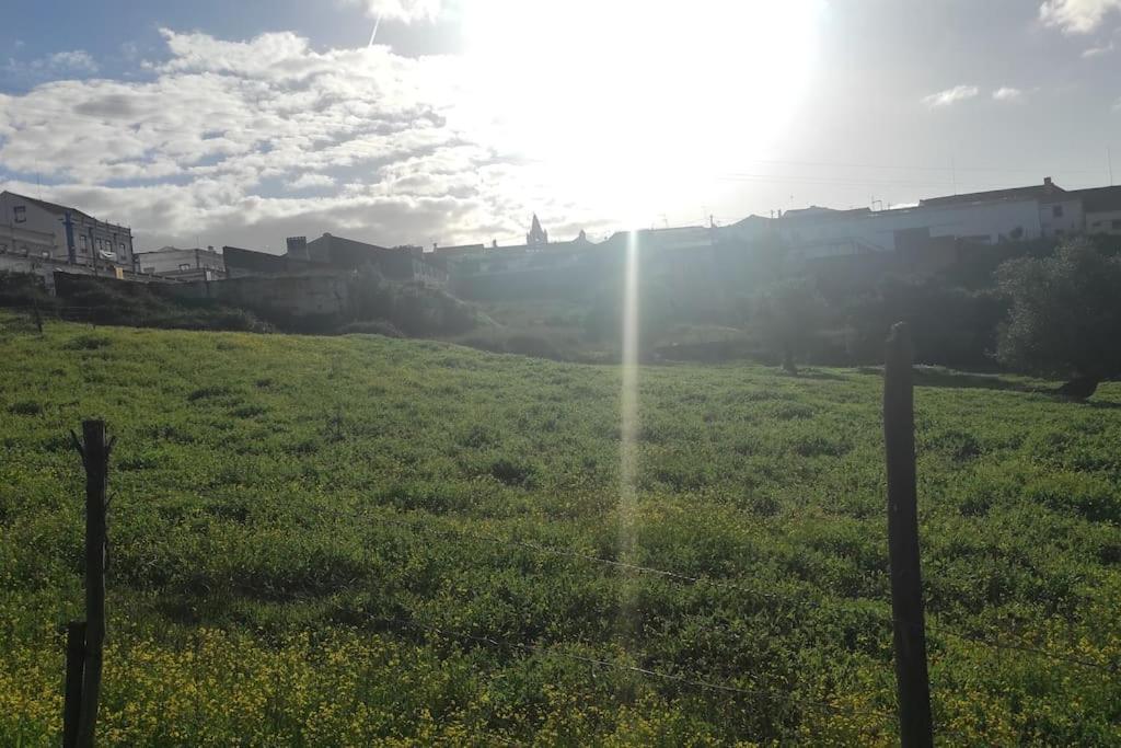 Nova Quinta Moderna Torramo Em Oliveiras, Campo De Laranjas, Na Nacional 2, Alentejo 13750 M2 Villa Torrao (Setubal)