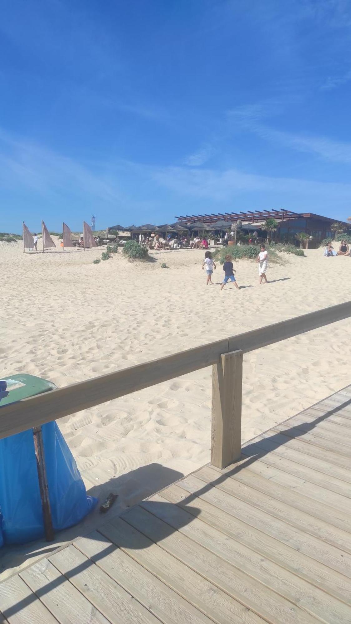Nova Quinta Moderna Torramo Em Oliveiras, Campo De Laranjas, Na Nacional 2, Alentejo 13750 M2 * Torrao (Setubal)