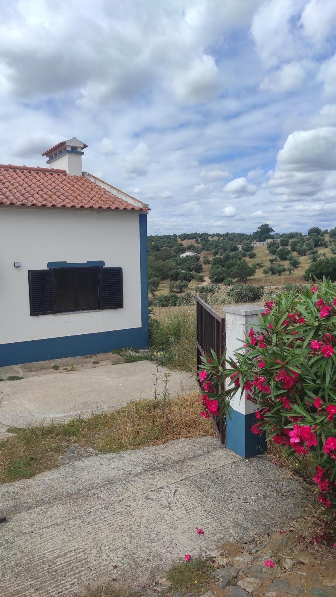Villa Nova Quinta Moderna Torramo Em Oliveiras, Campo De Laranjas, Na Nacional 2, Alentejo 13750 M2 *