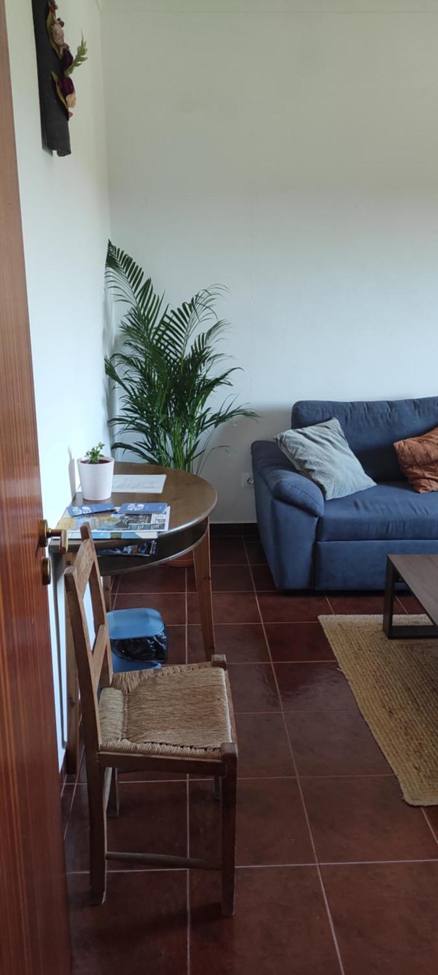 Nova Quinta Moderna Torramo Em Oliveiras, Campo De Laranjas, Na Nacional 2, Alentejo 13750 M2 Villa *