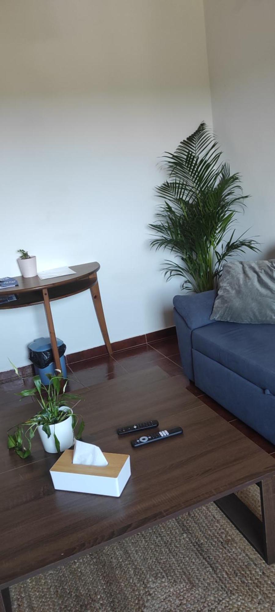 Nova Quinta Moderna Torramo Em Oliveiras, Campo De Laranjas, Na Nacional 2, Alentejo 13750 M2 Villa
